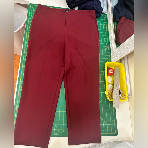 Rachel Zoe Wine Red Garment - Picture 2 of 9